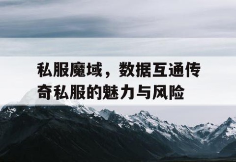 私服魔域，数据互通传奇私服的魅力与风险