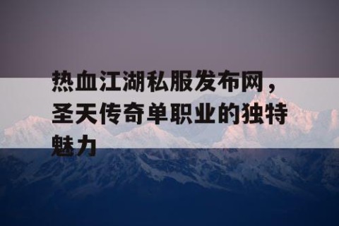 热血江湖私服发布网，圣天传奇单职业的独特魅力
