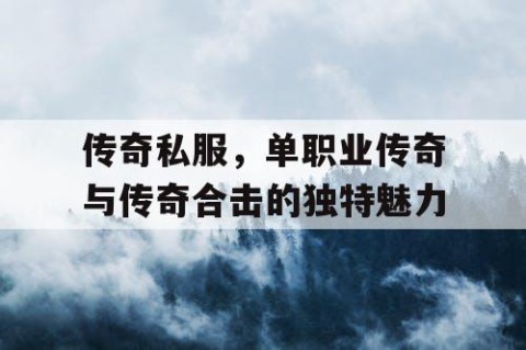 传奇私服，单职业传奇与传奇合击的独特魅力