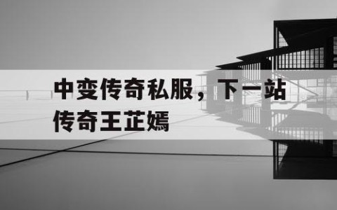 中变传奇私服，下一站传奇王芷嫣