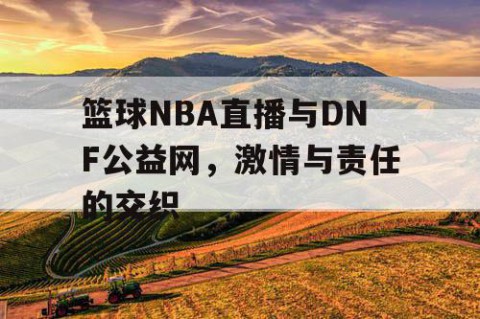 篮球NBA直播与DNF公益网,激情与责任的交织