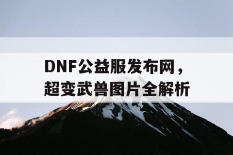 DNF公益服发布网，超变武兽图片全解析