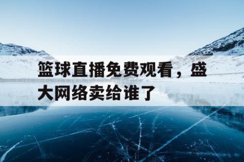 篮球直播免费观看，盛大网络卖给谁了