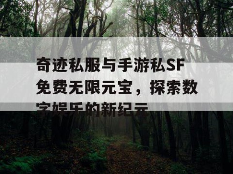 奇迹私服与手游私SF免费无限元宝，探索数字娱乐的新纪元