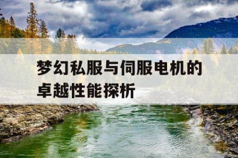 梦幻私服与伺服电机的卓越性能探析