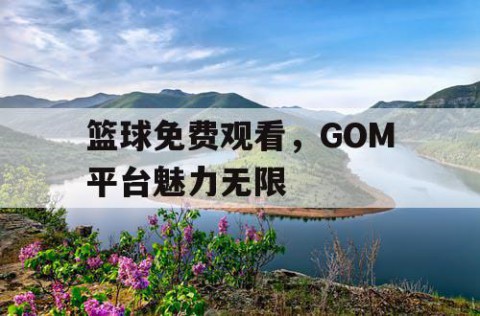 篮球免费观看,GOM平台魅力无限