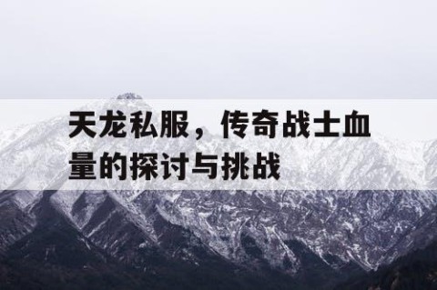 天龙私服，传奇战士血量的探讨与挑战