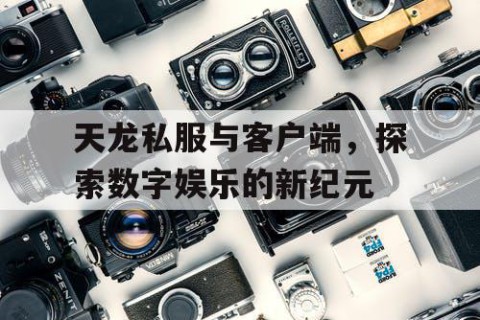 天龙私服与客户端，探索数字娱乐的新纪元