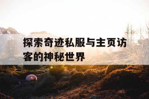 探索奇迹私服与主页访客的神秘世界