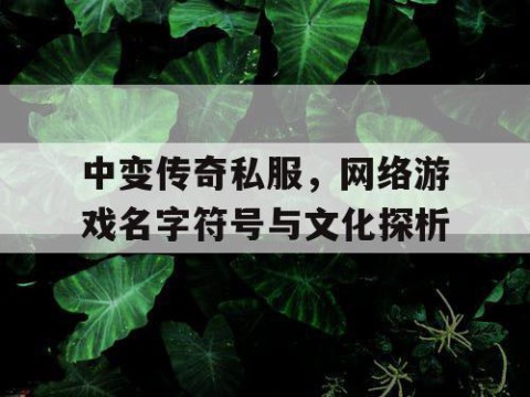 中变传奇私服，网络游戏名字符号与文化探析