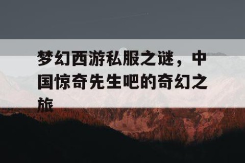 梦幻西游私服之谜，中国惊奇先生吧的奇幻之旅