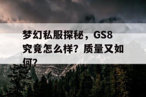 梦幻私服探秘，GS8究竟怎么样？质量又如何？