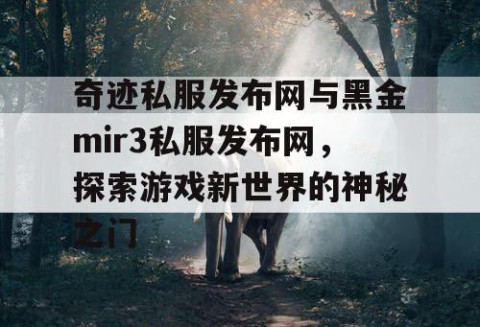 奇迹私服发布网与黑金mir3私服发布网，探索游戏新世界的神秘之门