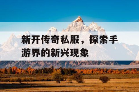 新开传奇私服，探索手游界的新兴现象