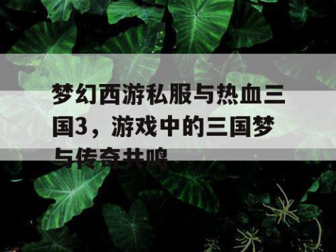 梦幻西游私服与热血三国3，游戏中的三国梦与传奇共鸣