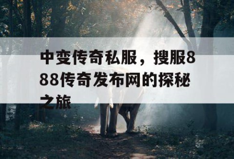 中变传奇私服，搜服888传奇发布网的探秘之旅