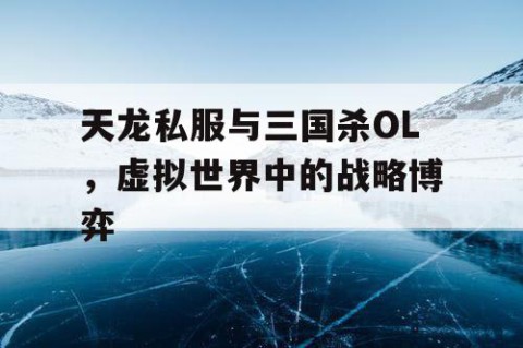 天龙私服与三国杀OL，虚拟世界中的战略博弈