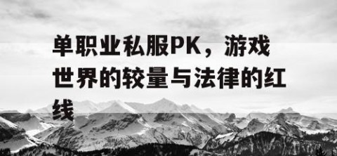 单职业私服PK，游戏世界的较量与法律的红线