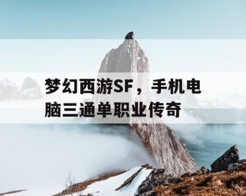 梦幻西游SF，手机电脑三通单职业传奇