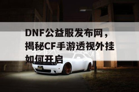 DNF公益服发布网，揭秘CF手游透视外挂如何开启