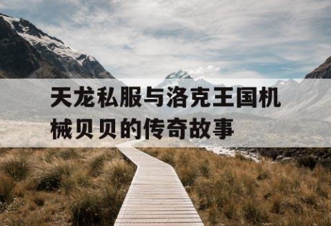 天龙私服与洛克王国机械贝贝的传奇故事
