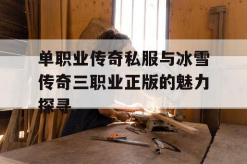 单职业传奇私服与冰雪传奇三职业正版的魅力探寻