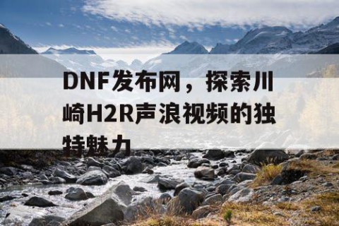 DNF发布网,探索川崎H2R声浪视频的独特魅力