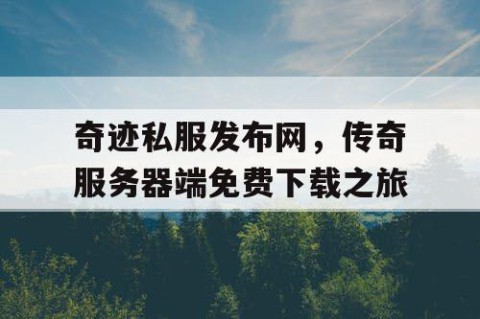 奇迹私服发布网，传奇服务器端免费下载之旅