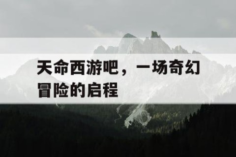 天命西游吧，一场奇幻冒险的启程