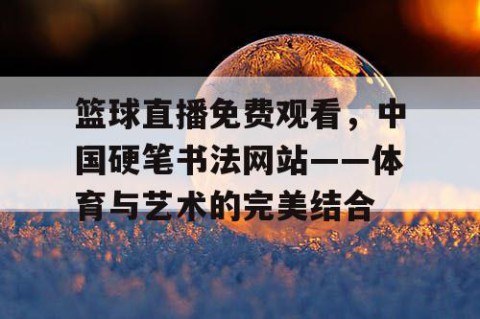 篮球直播免费观看，中国硬笔书法网站——体育与艺术的完美结合