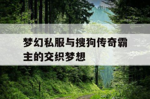 梦幻私服与搜狗传奇霸主的交织梦想