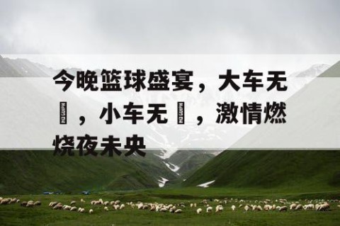 今晚篮球盛宴，大车无輗，小车无軏，激情燃烧夜未央