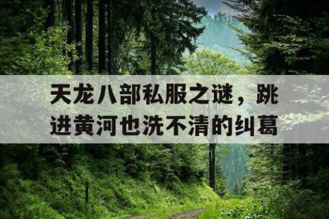 天龙八部私服之谜，跳进黄河也洗不清的纠葛