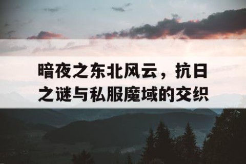 暗夜之东北风云，抗日之谜与私服魔域的交织
