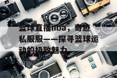 篮球直播nba，奇迹私服服——探寻篮球运动的极致魅力