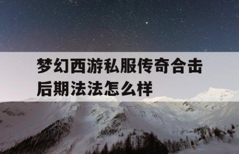 梦幻西游私服传奇合击后期法法怎么样