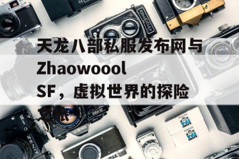 天龙八部私服发布网与Zhaowoool SF，虚拟世界的探险之旅