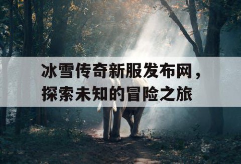 冰雪传奇新服发布网，探索未知的冒险之旅
