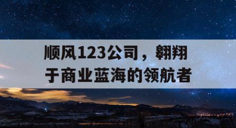 顺风123公司，翱翔于商业蓝海的领航者