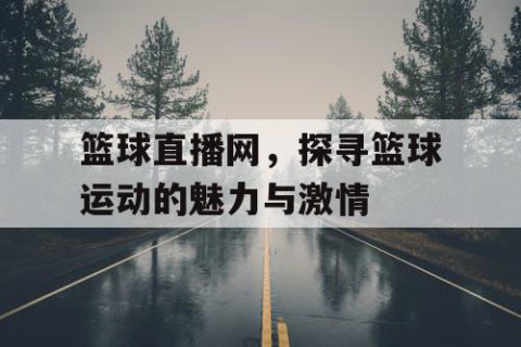 篮球直播网，探寻篮球运动的魅力与激情