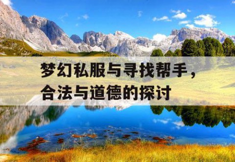 梦幻私服与寻找帮手，合法与道德的探讨