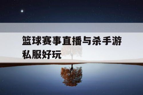 篮球赛事直播与杀手游私服好玩