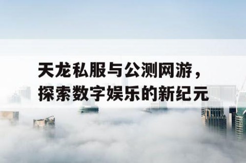 天龙私服与公测网游，探索数字娱乐的新纪元