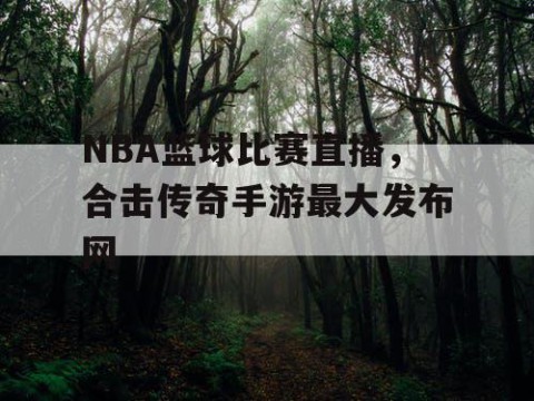 NBA篮球比赛直播,合击传奇手游最大发布网