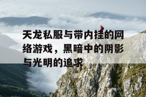 天龙私服与带内挂的网络游戏，黑暗中的阴影与光明的追求