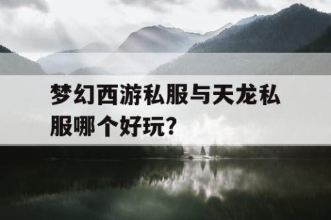 梦幻西游私服与天龙私服哪个好玩？