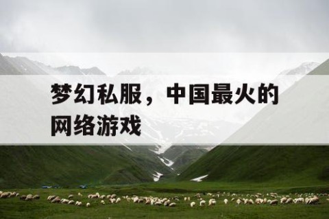 梦幻私服，中国最火的网络游戏