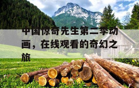 中国惊奇先生第二季动画，在线观看的奇幻之旅