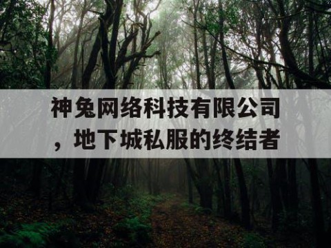 神兔网络科技有限公司，地下城私服的终结者
