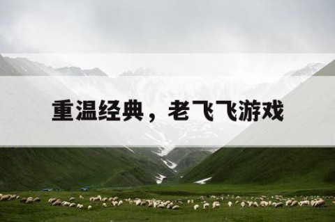 重温经典，老飞飞游戏